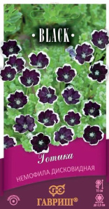 Немофила Готика дисковидная  серия Блэк купить