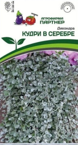 Дихондра серебристая Кудри в серебре купить
