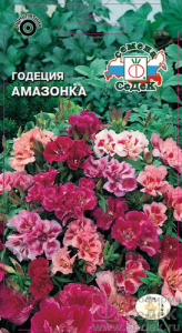 Годеция Амазонка  купить