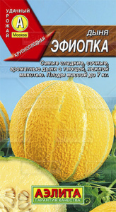 Дыня Эфиопка Аэ купить