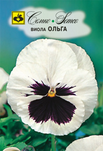 Виола Ольга купить