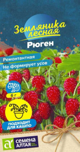 Земляника Рюген ремонтантная