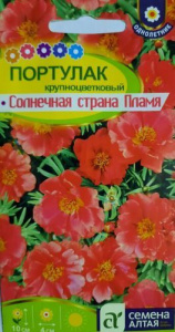 Портулак Солнечная Страна Пламя  купить
