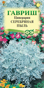 Цинерария приморская Серебряная Пыль  купить