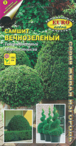 Самшит вечнозеленый купить