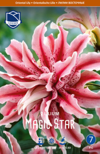 Лилия восточная махровая Magic Star /2шт купить