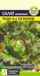 Салат Чудо 4 сезонов  купить