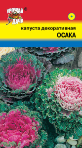Капуста декоративная Осака смесь  купить