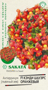 Антирринум Кэнди Шауэрс оранжевый F1 Элитная клумба купить