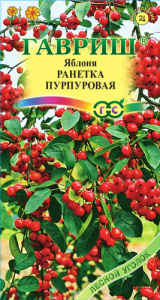 Яблоня Ранет пурпуровый  купить