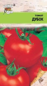 Томат Дубок ультраскороспелый  купить