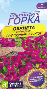 Обриета Пурпурный каскад Альпийская горка