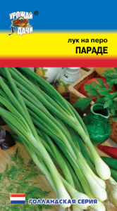 Лук Параде, на зелень купить