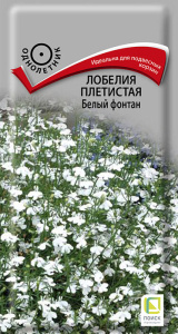 Лобелия Фонтан Белый купить