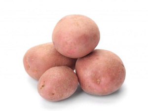 Картофель семенной Кумач (супер-суперэлита) 2кг купить