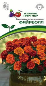 Бархатцы Файрболл отклоненные купить