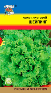 Салат Шейпинг листовой  купить