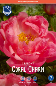 Пион Coral Charm /1шт купить