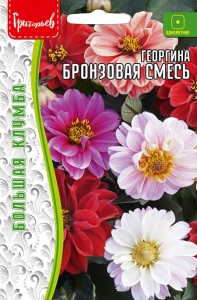 Георгина Бронзовая смесь  купить