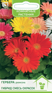 Гербера Джемсона Гибрид смесь окрасок купить