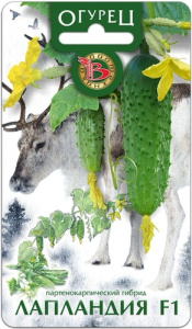 Огурец Лапландия F1 купить