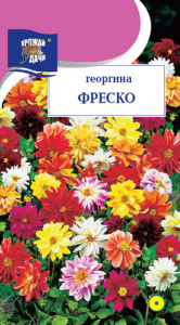 Георгина Фреско Смесь купить