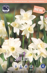 Нарцисс jonquilla "Sailboat" (1х10шт) купить