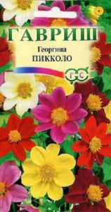 Георгина Пикколо, смесь купить