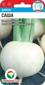Дайкон Саша купить