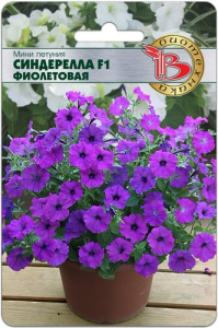 Петуния мини Синдерелла F1 Фиолетовая купить