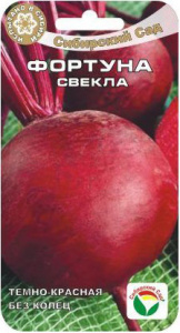 Свекла Фортуна  купить