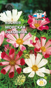 Космея Морская раковина (махровая смесь) купить