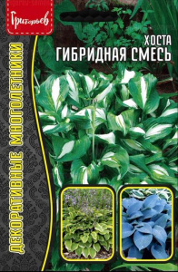 Хоста Гибридная Смесь  купить