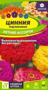 Цинния Летнее Ассорти  купить