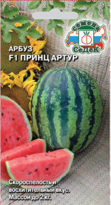 Арбуз Принц Артур ранний  купить