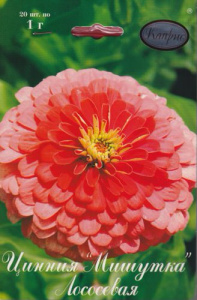 Цинния Мишутка Лососевая/1шт купить