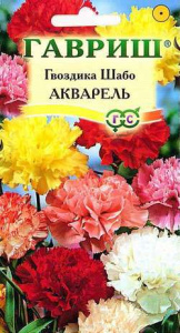 Гвоздика Шабо Акварель  купить