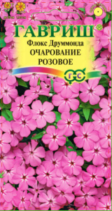 Флокс Очарование розовое друммонда купить