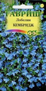 Лобелия Кембридж  купить