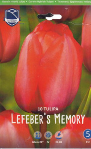 Тюльпан дарвинов гибрид "Lefebers Memory" (1х10шт) купить