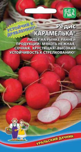 Редис Карамелька  купить