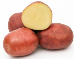 Картофель семенной Михайловский 2кг (суперэлита) купить