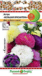 Астра Большая хризантема смесь купить