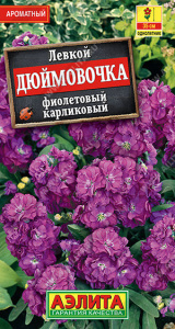 Левкой Дюймовочка фиолетовый карликовый купить