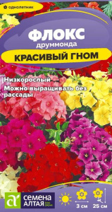 Флокс Красивый гном друммонда купить