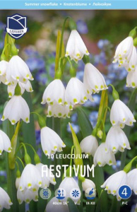 Белоцветник летний /10шт купить