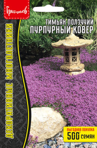 Тимьян Пурпурный Ковёр ползучий купить