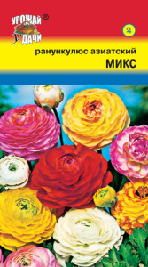 Ранункулюс Азиатский Микс махр.  купить