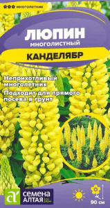 Люпин Канделябр купить