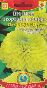 Цинния георгиновидная Изабеллина  купить